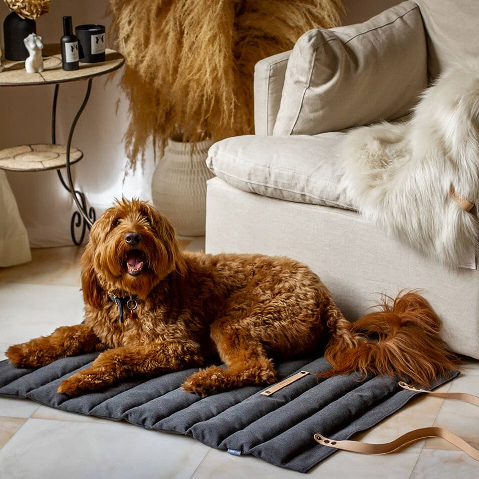 Made with a quilted structure, this travel mat makes it easy to provide a luxurious sleeping experience for your pup at home or wherever your travels take you