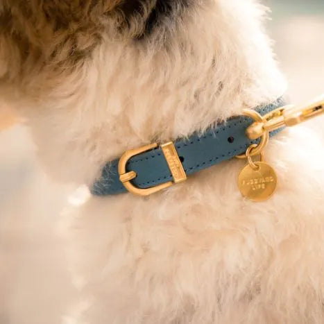 Life Dog Collar view 12 – Nala's Pet Boutique