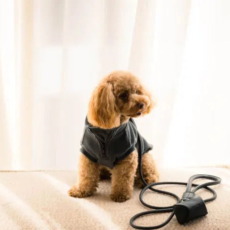 Life Dog Leash view 26 – Nala's Pet Boutique