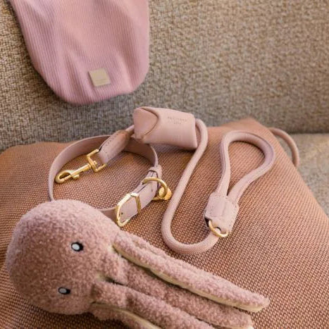 Life Dog Collar in Fuzzyard Life – Nala's Pet Boutique