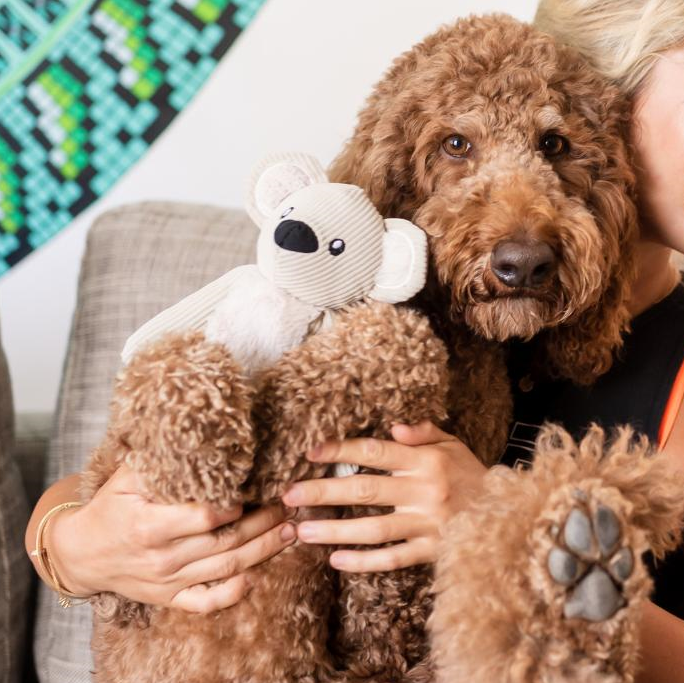 Sandstone Koala angle view – Nala's Pet Boutique
