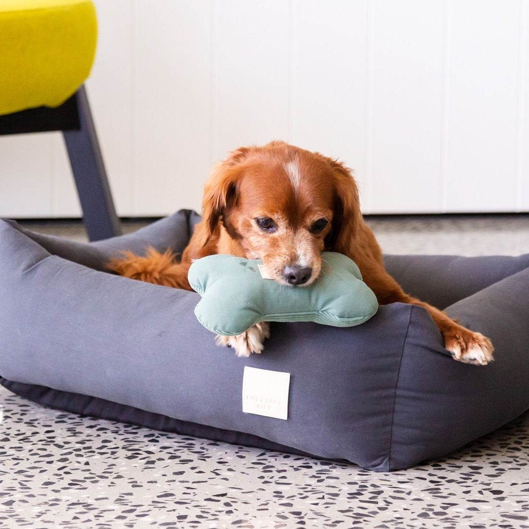 Toy Bone view 25 – Nala's Pet Boutique