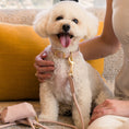 Cargar la imagen en la vista de la galería, Life Dog Leash view 29 – Nala's Pet Boutique
