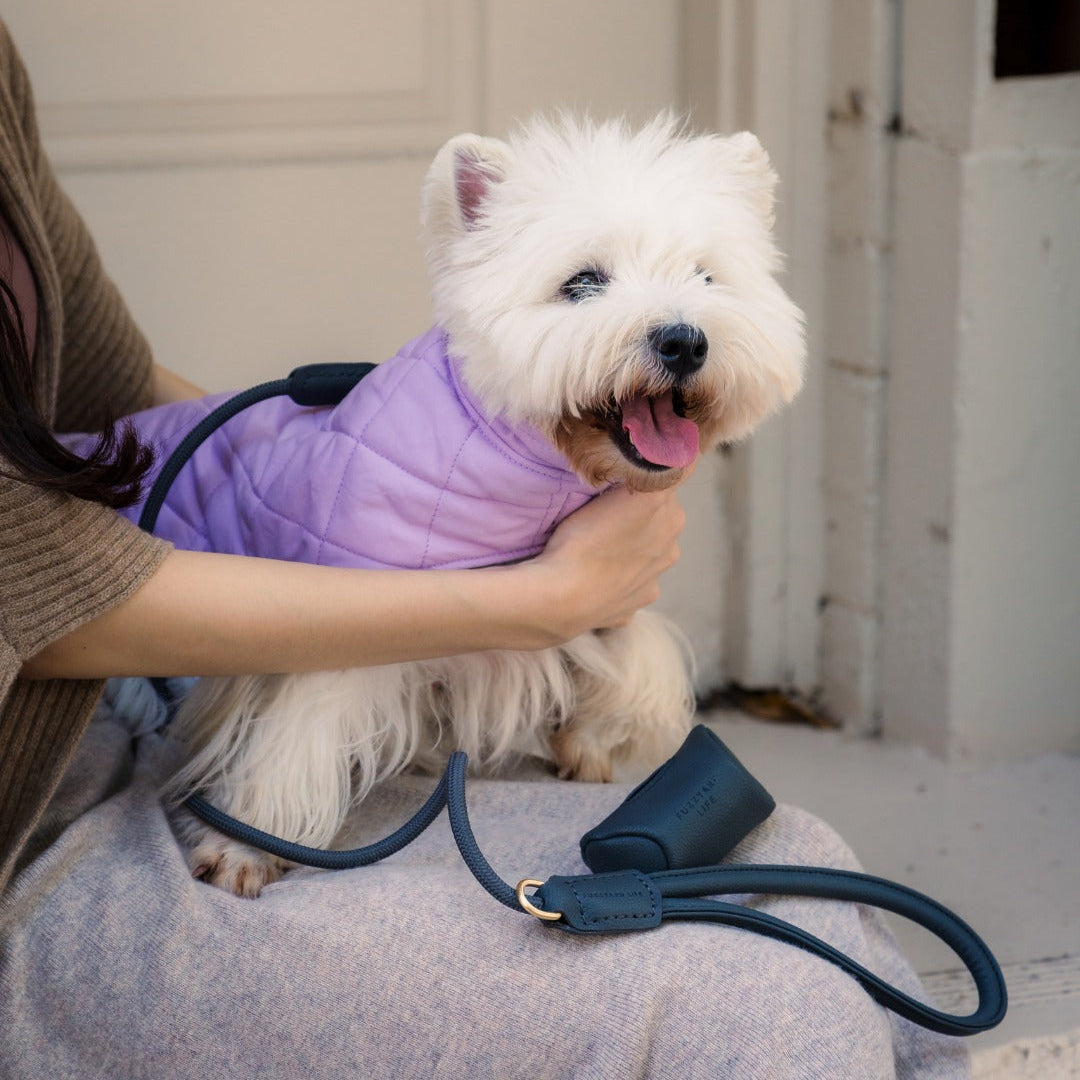 Life Dog Leash view 27 – Nala's Pet Boutique