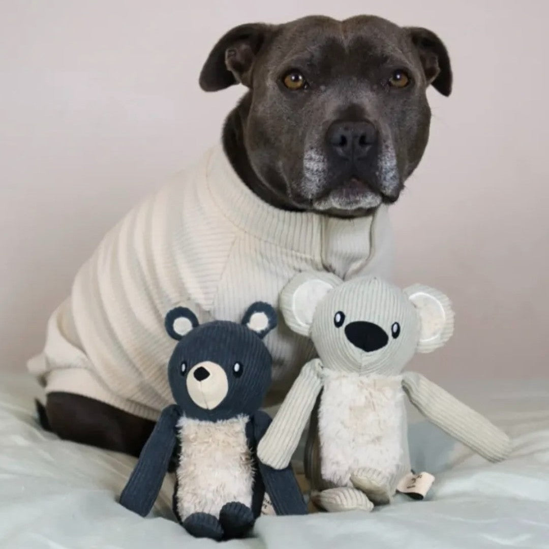 Slate Gray Bear detail view – Nala's Pet Boutique