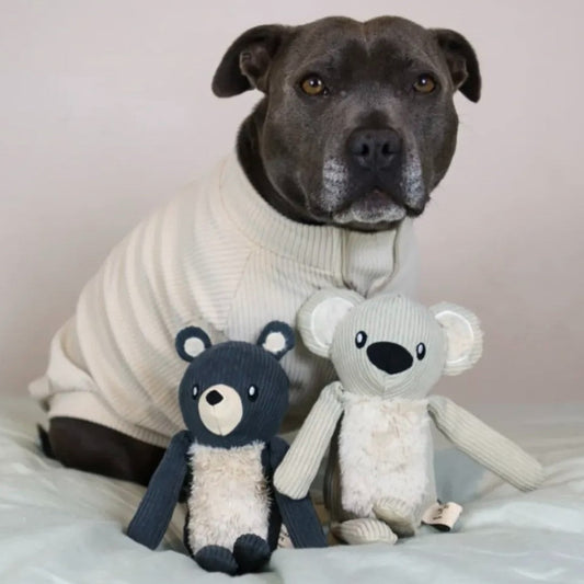 Slate Gray Bear detail view – Nala's Pet Boutique
