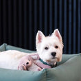 Cargar la imagen en la vista de la galería, Soft Blush Bunny product shot – Nala's Pet Boutique
