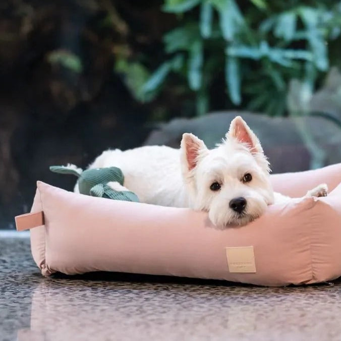 Myrtle Green Kangaroo angle view – Nala's Pet Boutique