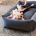 Cargar la imagen en la vista de la galería, Soft Blush Bunny front view – Nala's Pet Boutique
