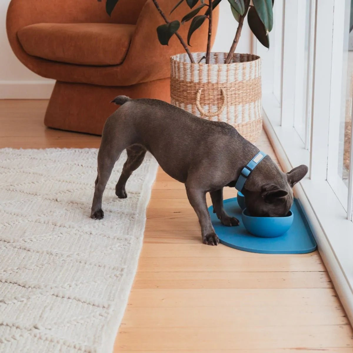 FuzzYard Life silicone pet feeding mat, food‑grade, dishwasher‑safe, spill‑resistant design, available in five colors for stylish and practical pet mealtime.