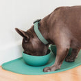 Cargar la imagen en la vista de la galería, FuzzYard Life silicone pet feeding mat, food‑grade, dishwasher‑safe, spill‑resistant design, available in five colors for stylish and practical pet mealtime.
