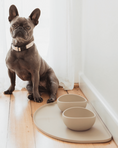 Cargar la imagen en la vista de la galería, FuzzYard Life silicone pet feeding mat, food‑grade, dishwasher‑safe, spill‑resistant design, available in five colors for stylish and practical pet mealtime.
