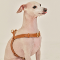 Load image into Gallery viewer, ROMA Leather Harness
