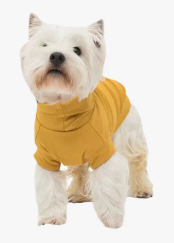 Gobi UPF 2000+ Sun Protection Tee