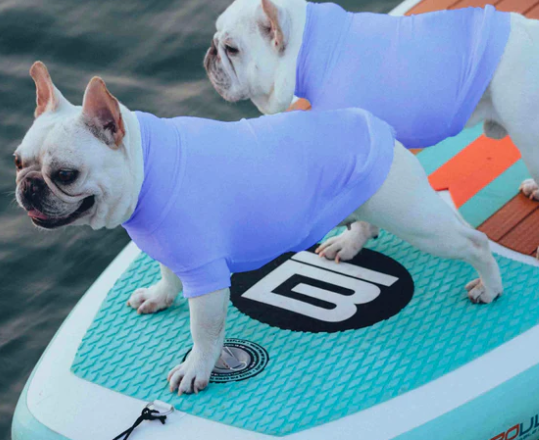 Gobi UPF 2000+ Sun Protection Tee