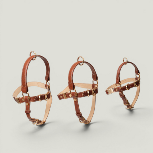 Arnés con asa - Caoba