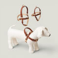 Load image into Gallery viewer, Handle Leather Harness

