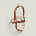 Load image into Gallery viewer, Handle Leather Harness

