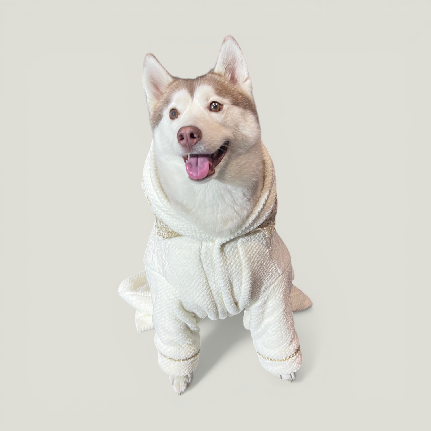 Bunny Bathrobe in Husky Photoroom – Nala's Pet Boutique