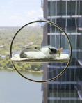 Load image into Gallery viewer, Orbit Window Hammock
