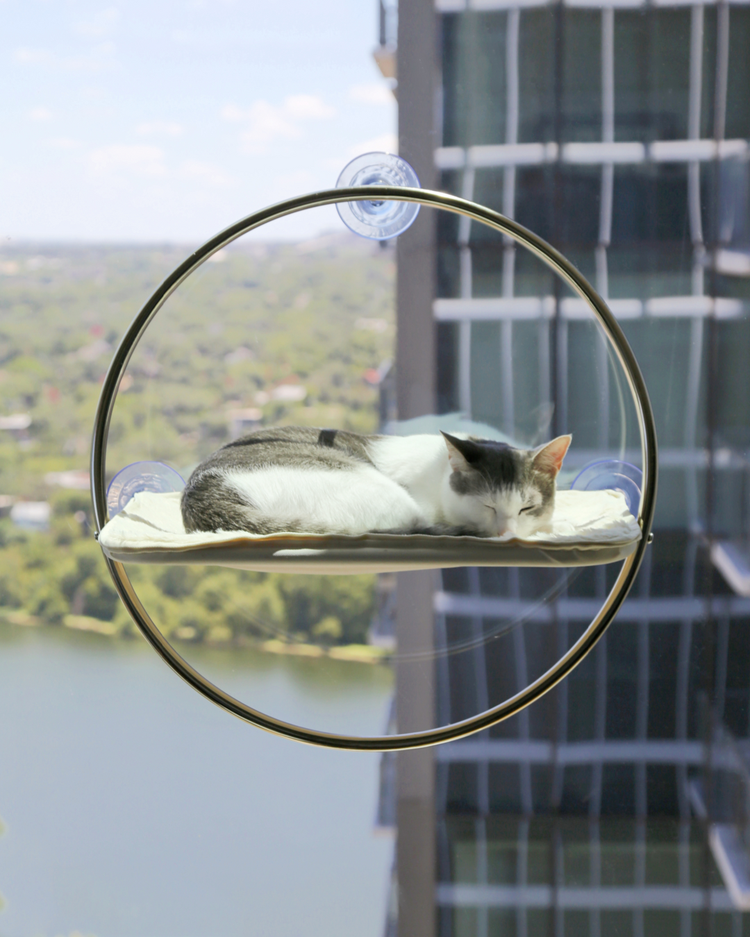 Orbit Window Hammock