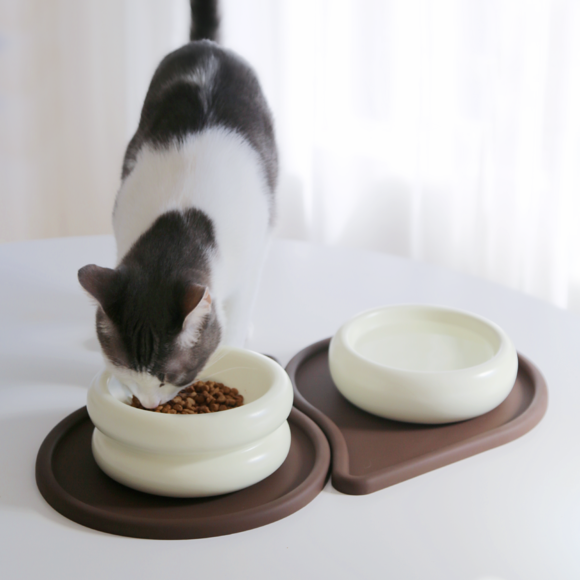 Halo Cat Bowl