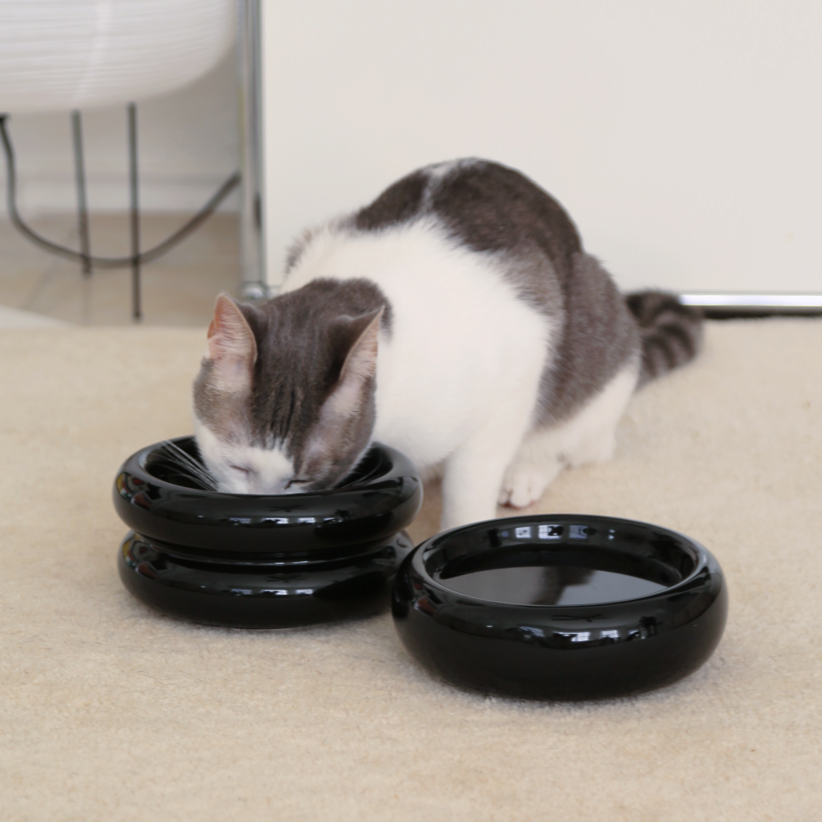 Halo Cat Bowl