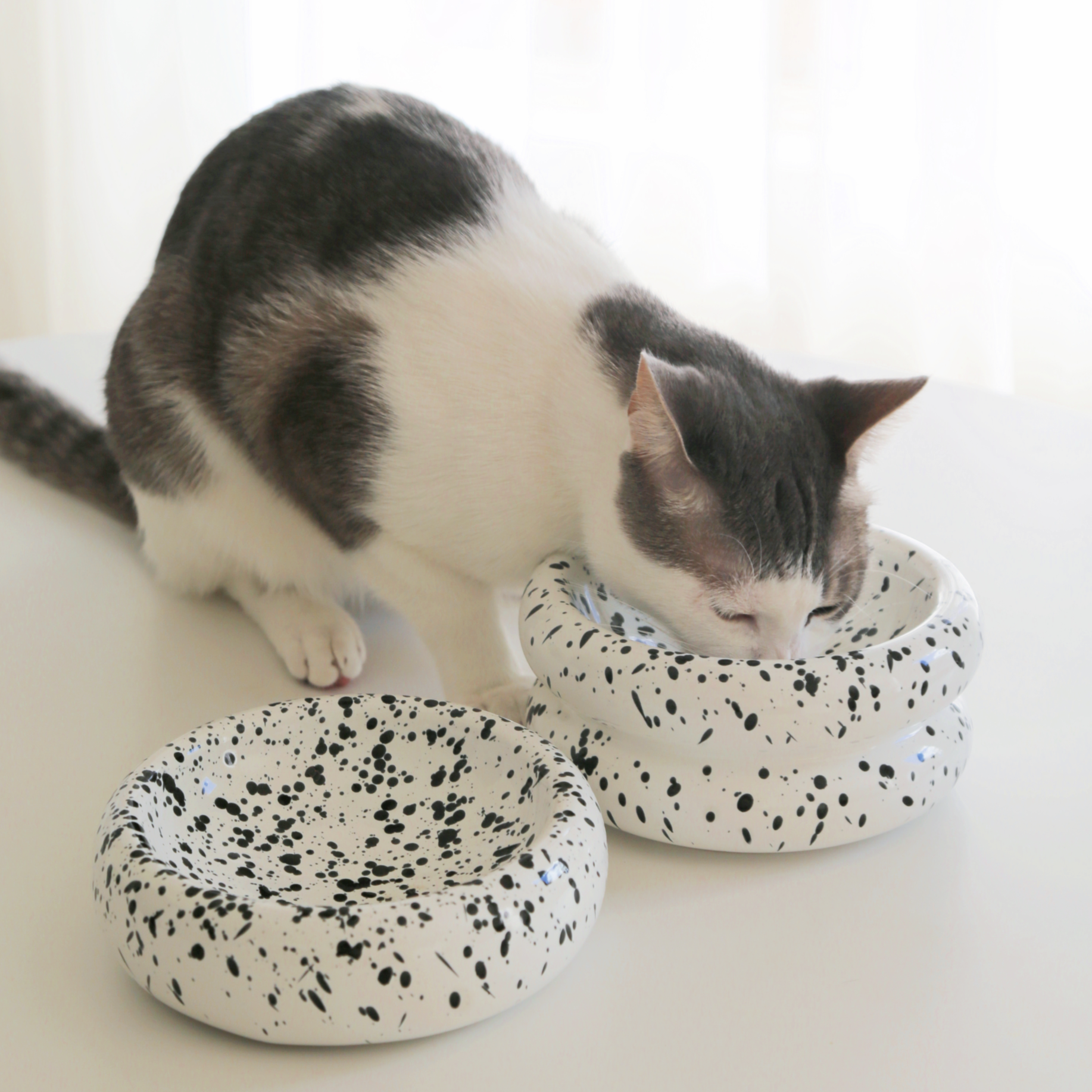 Halo Cat Bowl