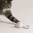 Load image into Gallery viewer, illu mouse catnip toy for cats
