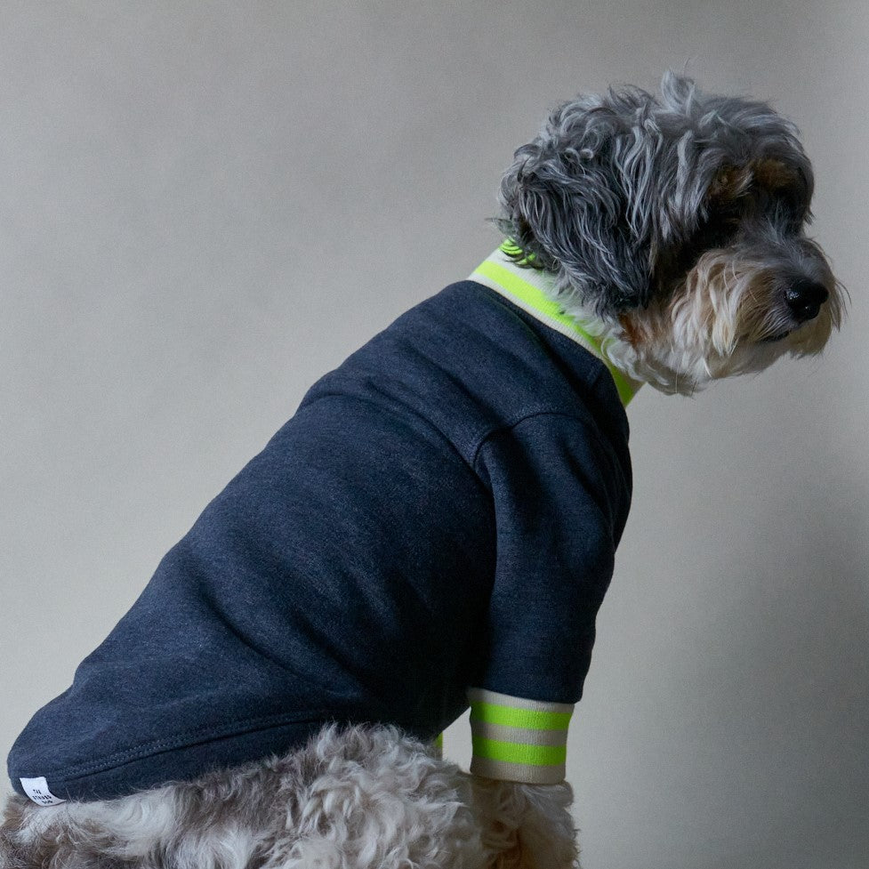 Basic blue heather fleece sweater with ribbed details in beige and neon green stripes on the neckline and cuffs.