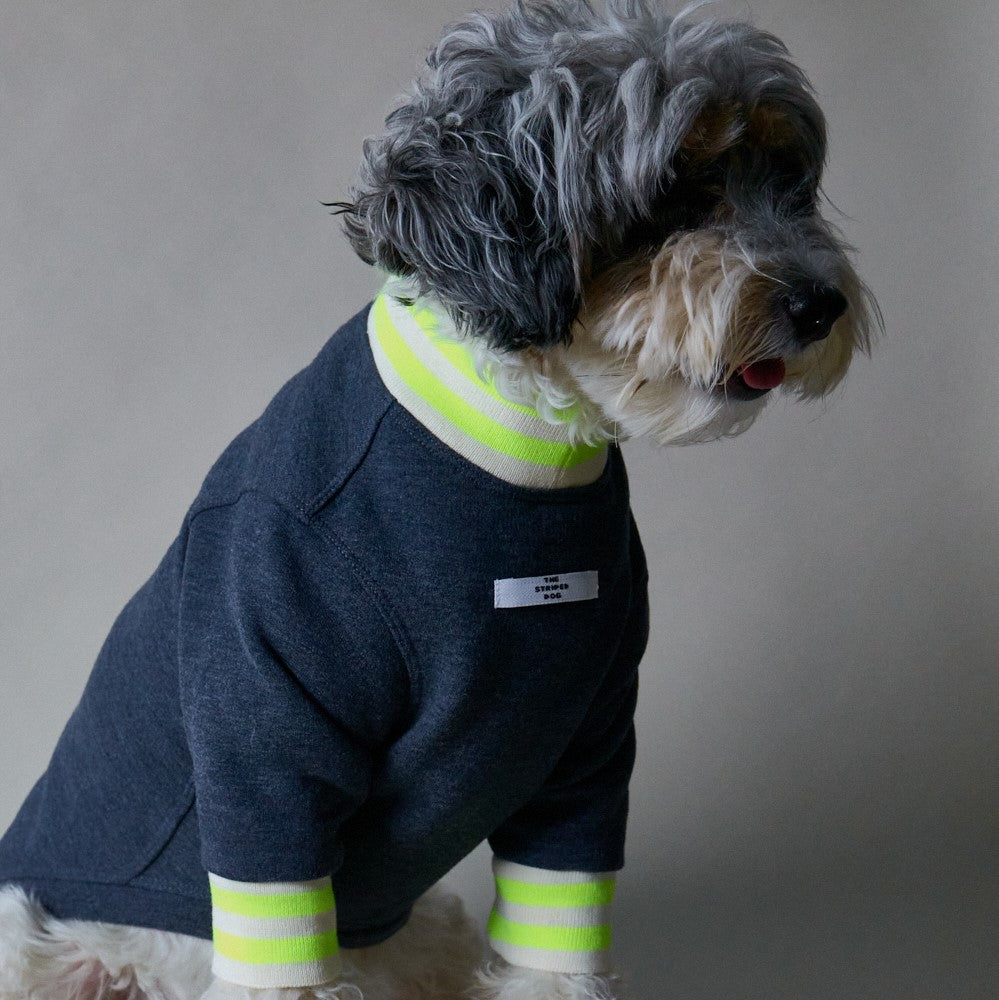 Basic blue heather fleece sweater with ribbed details in beige and neon green stripes on the neckline and cuffs.