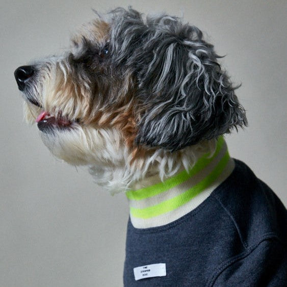 Basic blue heather fleece sweater with ribbed details in beige and neon green stripes on the neckline and cuffs.