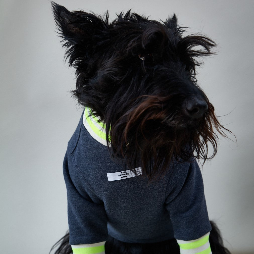 Basic blue heather fleece sweater with ribbed details in beige and neon green stripes on the neckline and cuffs.