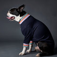 Load image into Gallery viewer, Basic dark blue lightweight turtleneck sweater with multicolored striped neckline and cuffs. Comfortable and easy to wear.
