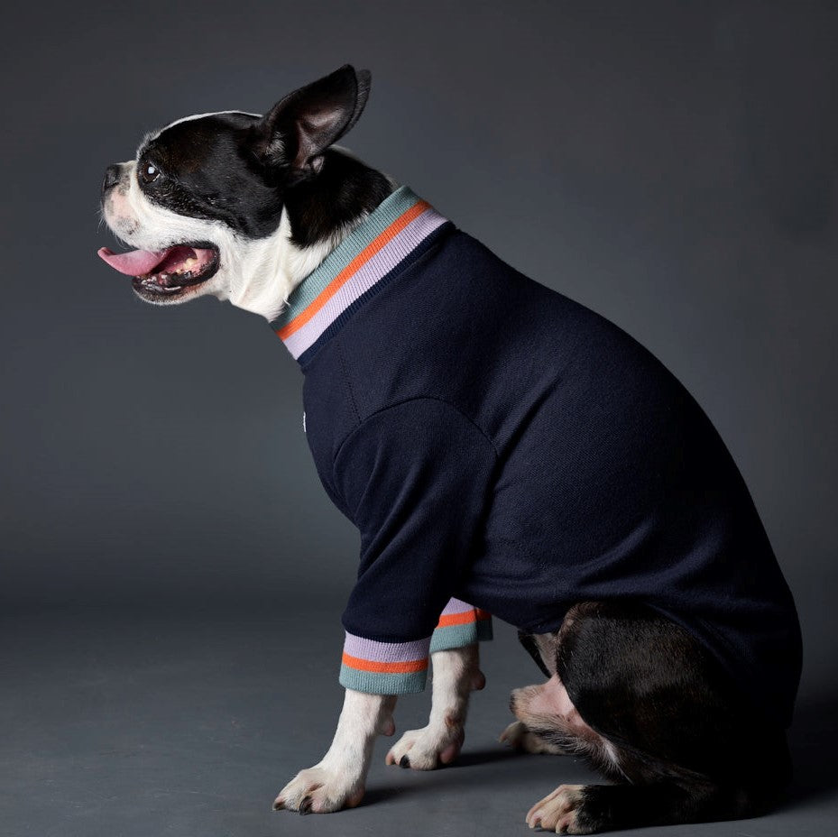 Basic dark blue lightweight turtleneck sweater with multicolored striped neckline and cuffs. Comfortable and easy to wear.