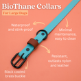 Load image into Gallery viewer, Tailr Two-Tone Waterproof BioThane Dog Collar

