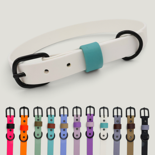 Tailr Two-Tone Waterproof BioThane Dog Collar