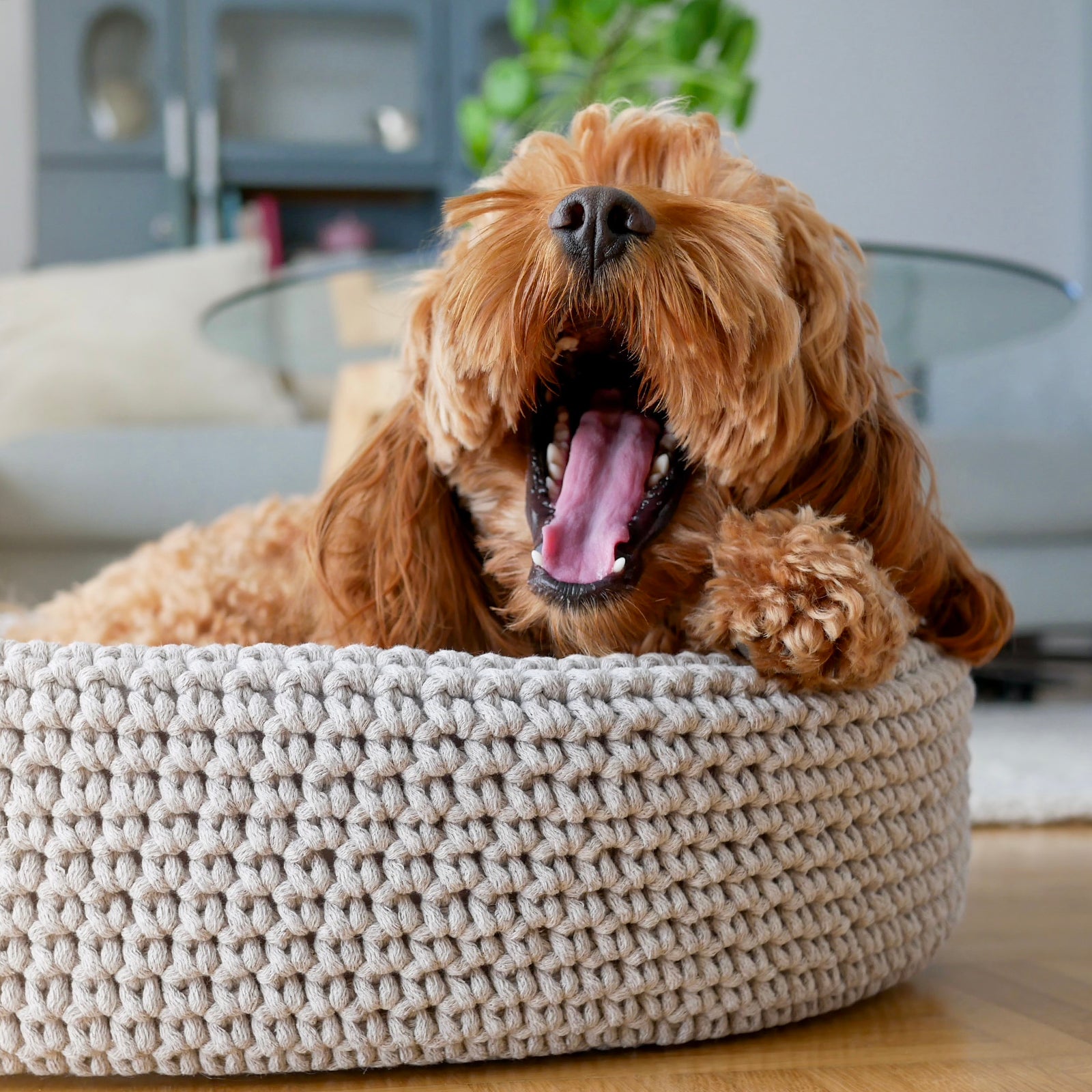 Dog bed made of high-quality braided cotton string with great detail attention. The oval shape fits perfectly with the dog's natural shape when resting. The cushion on the bottom is fully removable, which helps to keep the dog bed clean and functional. Lukko is perfect for short naps and longer rest. Dedicated to dogs who value comfort.