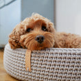 Load image into Gallery viewer, Dog bed made of high-quality braided cotton string with great detail attention. The oval shape fits perfectly with the dog's natural shape when resting. The cushion on the bottom is fully removable, which helps to keep the dog bed clean and functional. Lukko is perfect for short naps and longer rest. Dedicated to dogs who value comfort.
