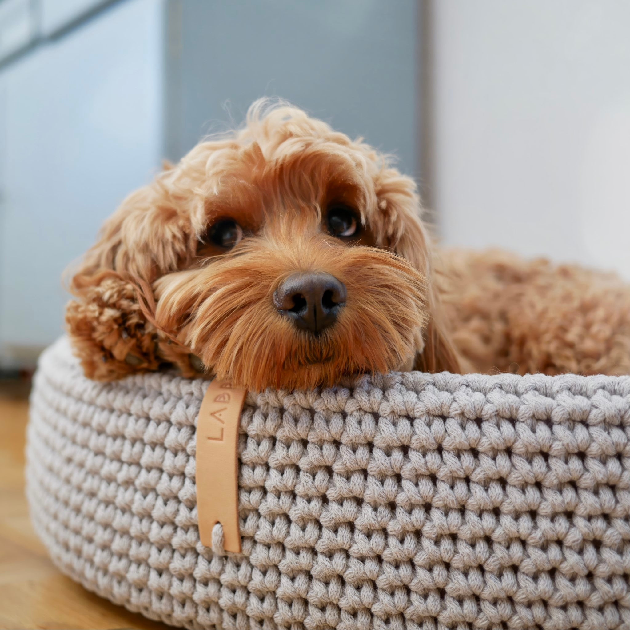 Dog bed made of high-quality braided cotton string with great detail attention. The oval shape fits perfectly with the dog's natural shape when resting. The cushion on the bottom is fully removable, which helps to keep the dog bed clean and functional. Lukko is perfect for short naps and longer rest. Dedicated to dogs who value comfort.