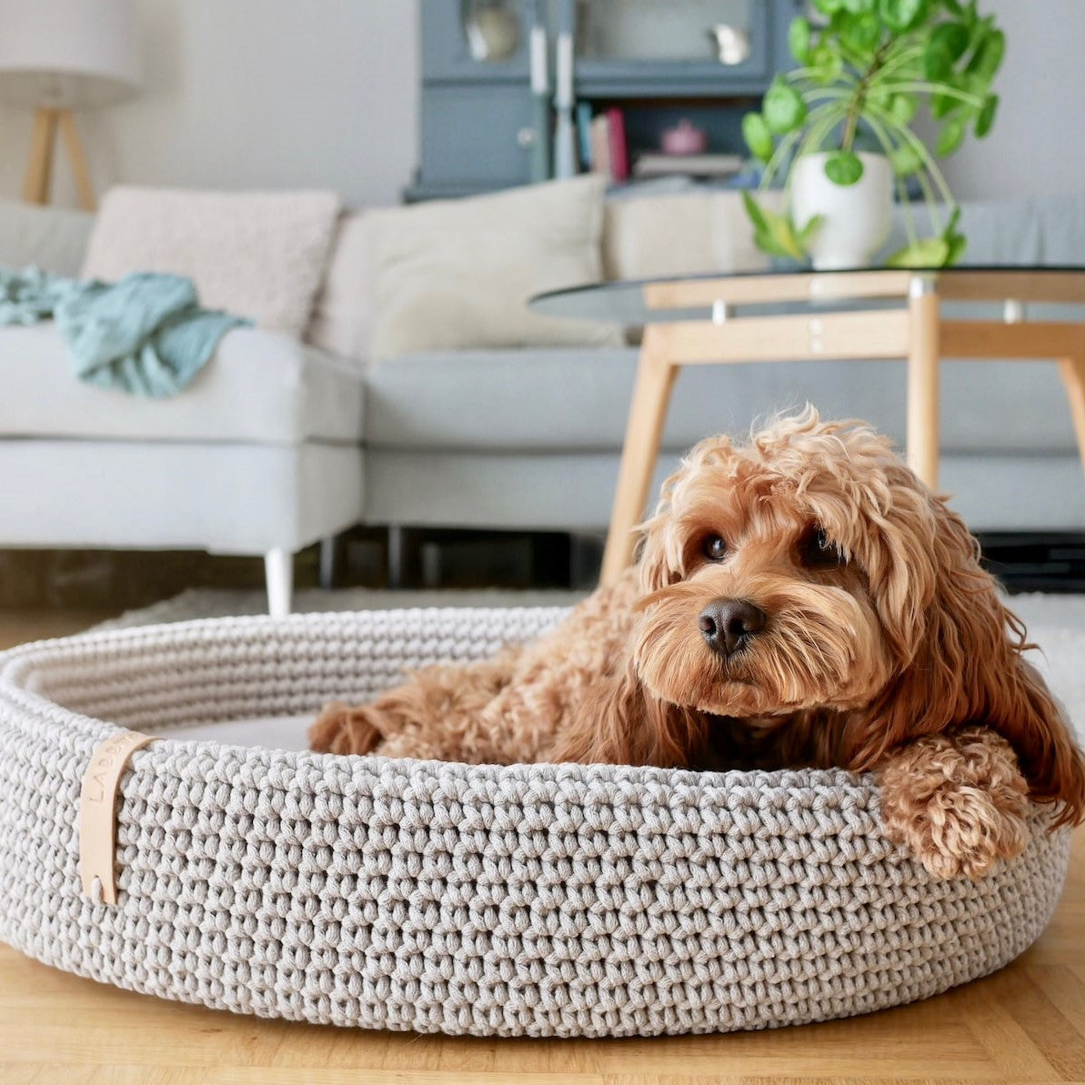 Dog bed made of high-quality braided cotton string with great detail attention. The oval shape fits perfectly with the dog's natural shape when resting. The cushion on the bottom is fully removable, which helps to keep the dog bed clean and functional. Lukko is perfect for short naps and longer rest. Dedicated to dogs who value comfort.