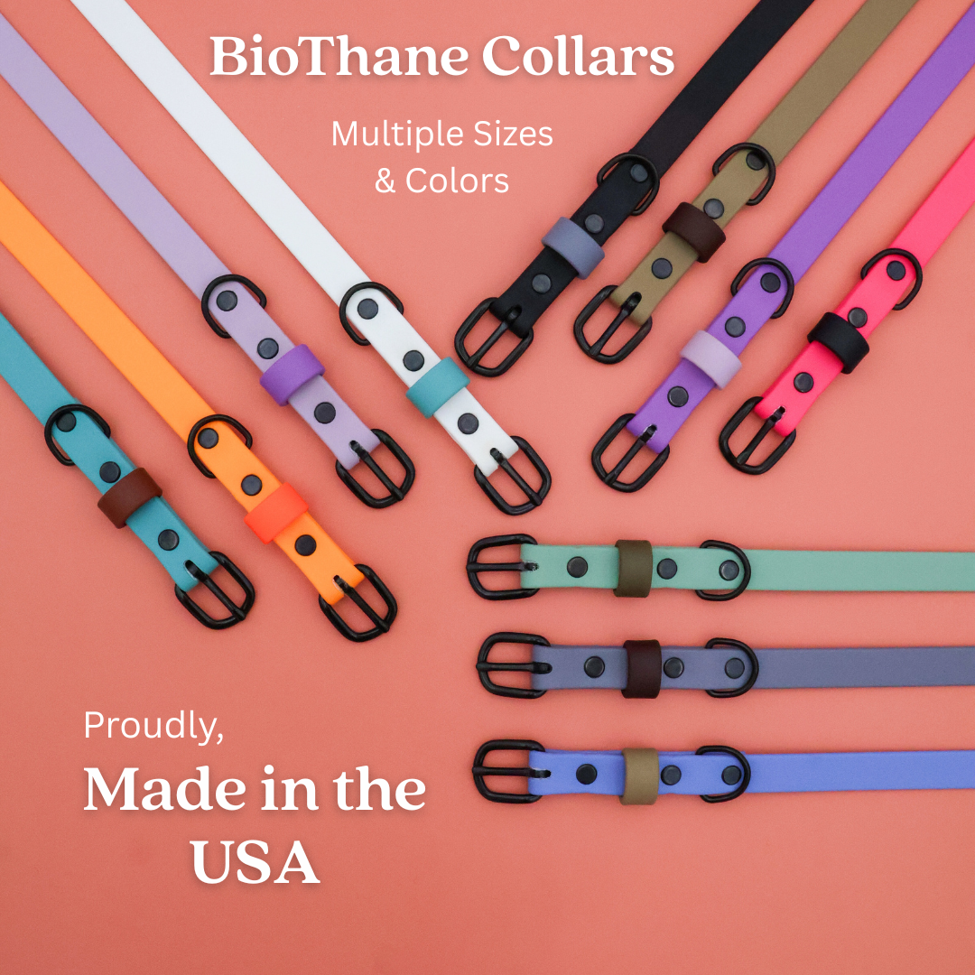 Tailr Two-Tone Waterproof BioThane Dog Collar
