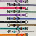 Load image into Gallery viewer, Tailr Two-Tone Waterproof BioThane Dog Collar
