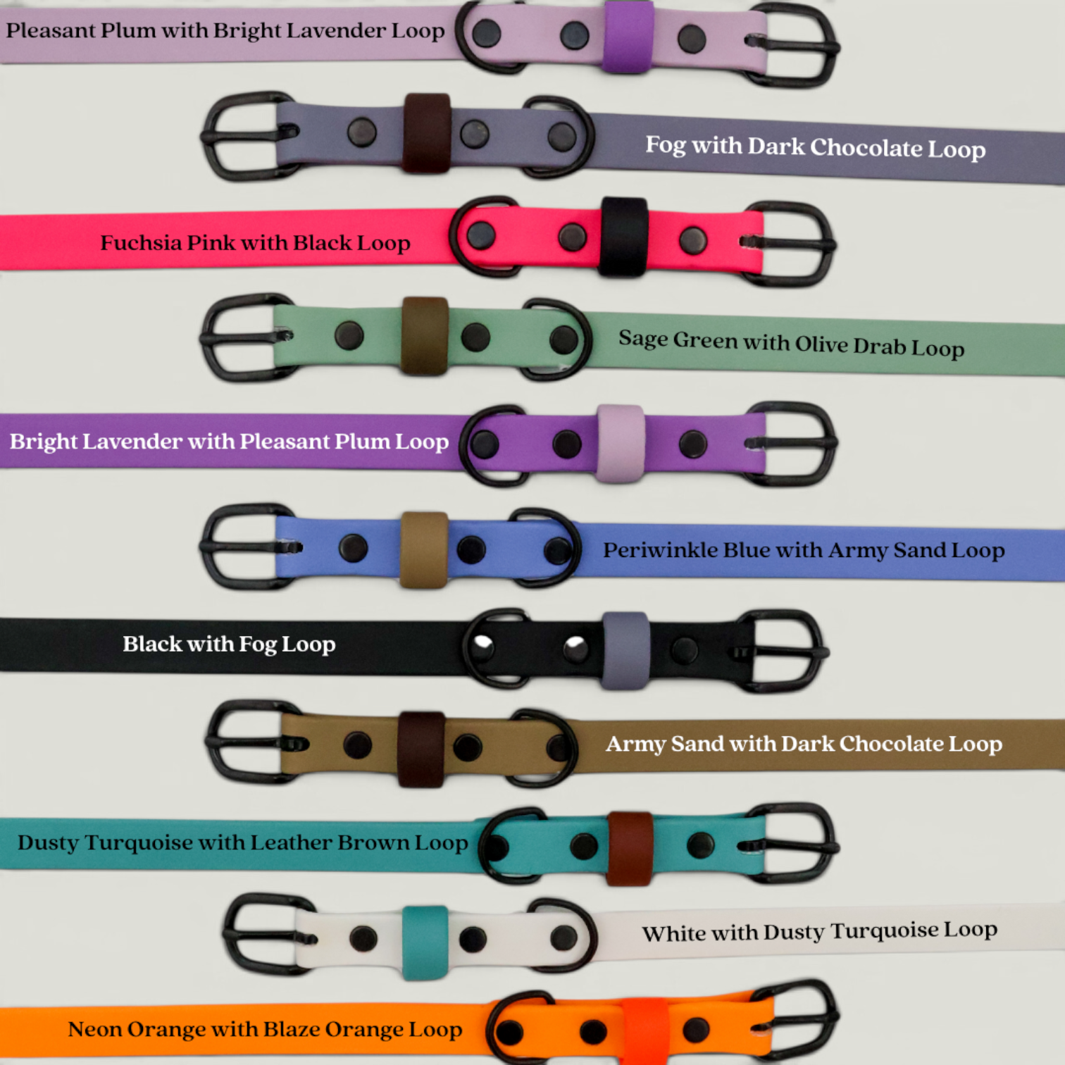 Tailr Two-Tone Waterproof BioThane Dog Collar