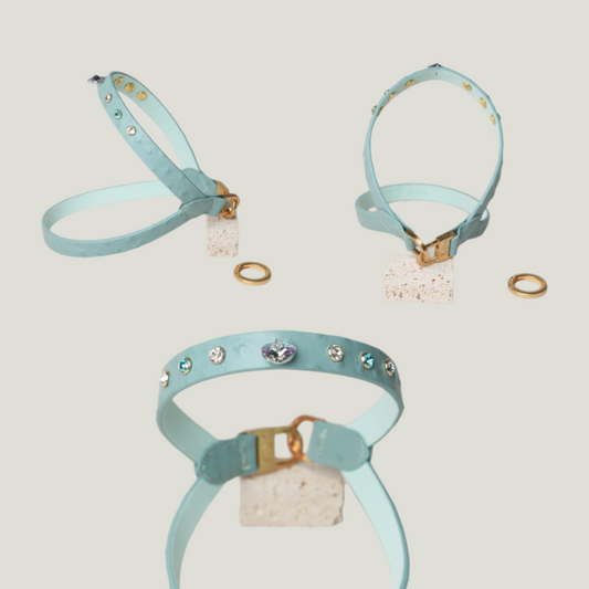 MACARON II-C Harness