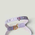 Load image into Gallery viewer, MACARON II-C Harness
