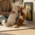 Load image into Gallery viewer, Kiss Me, Feed Me Scratcher

