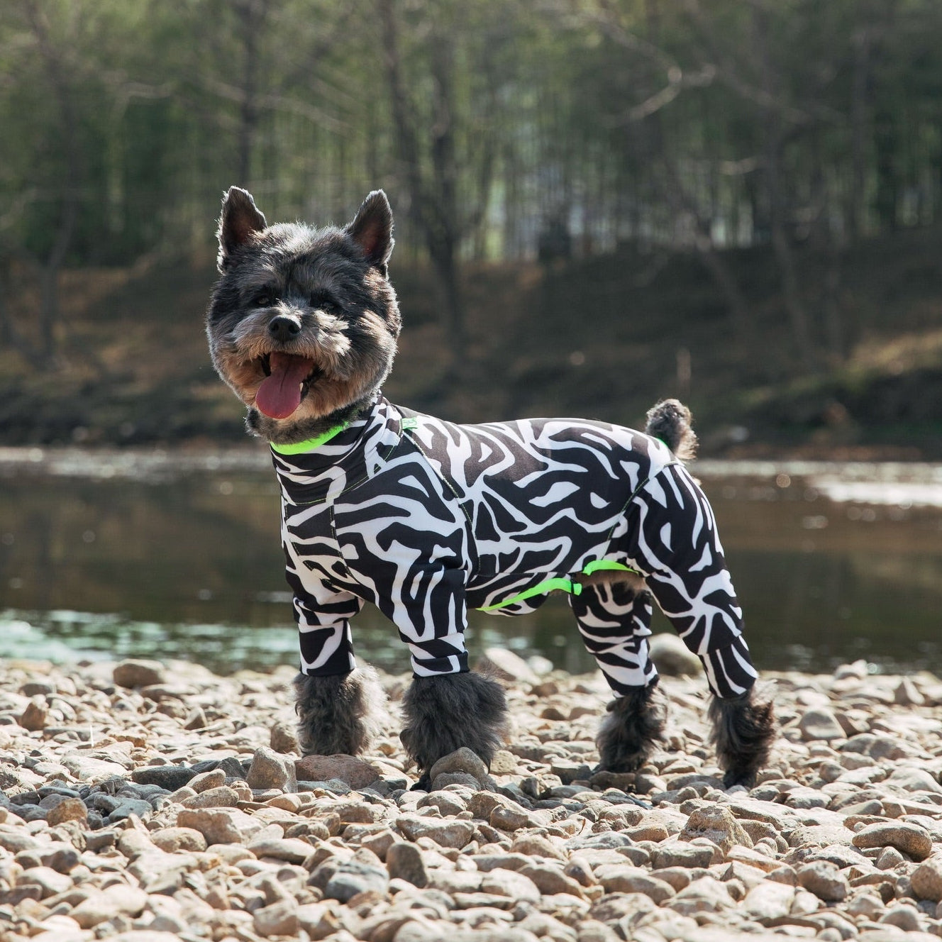 BUZZZ OFF Onesie