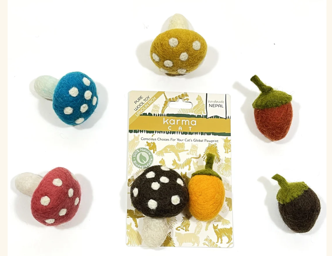 MUSHROOM & ACORN, PACK OF 2 TOYS, ASSORTED COLORS