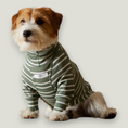 Load image into Gallery viewer, Basic green and white stripes lightweight turtleneck sweater made with a textured jersey. Comfortable and easy to wear.
